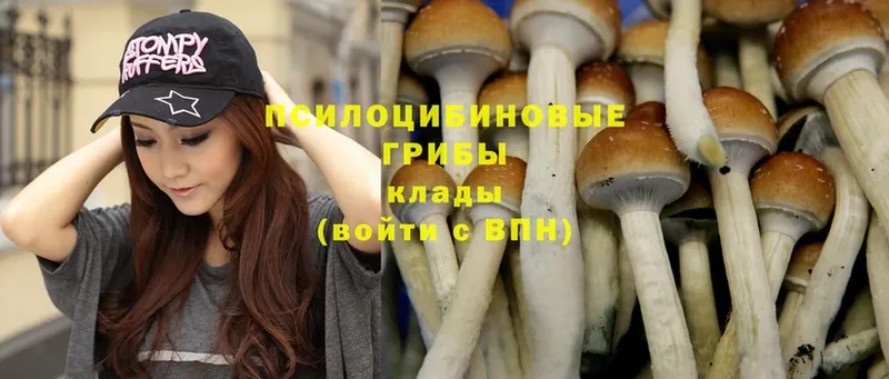 Галлюциногенные грибы Magic Shrooms  Киренск 